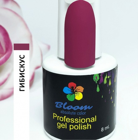 Bloom Гибискус